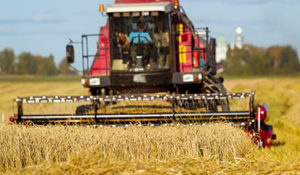 Corso di Formazione per RSPP/ASPP - Modulo B SP1 (Agricoltura - Pesca)